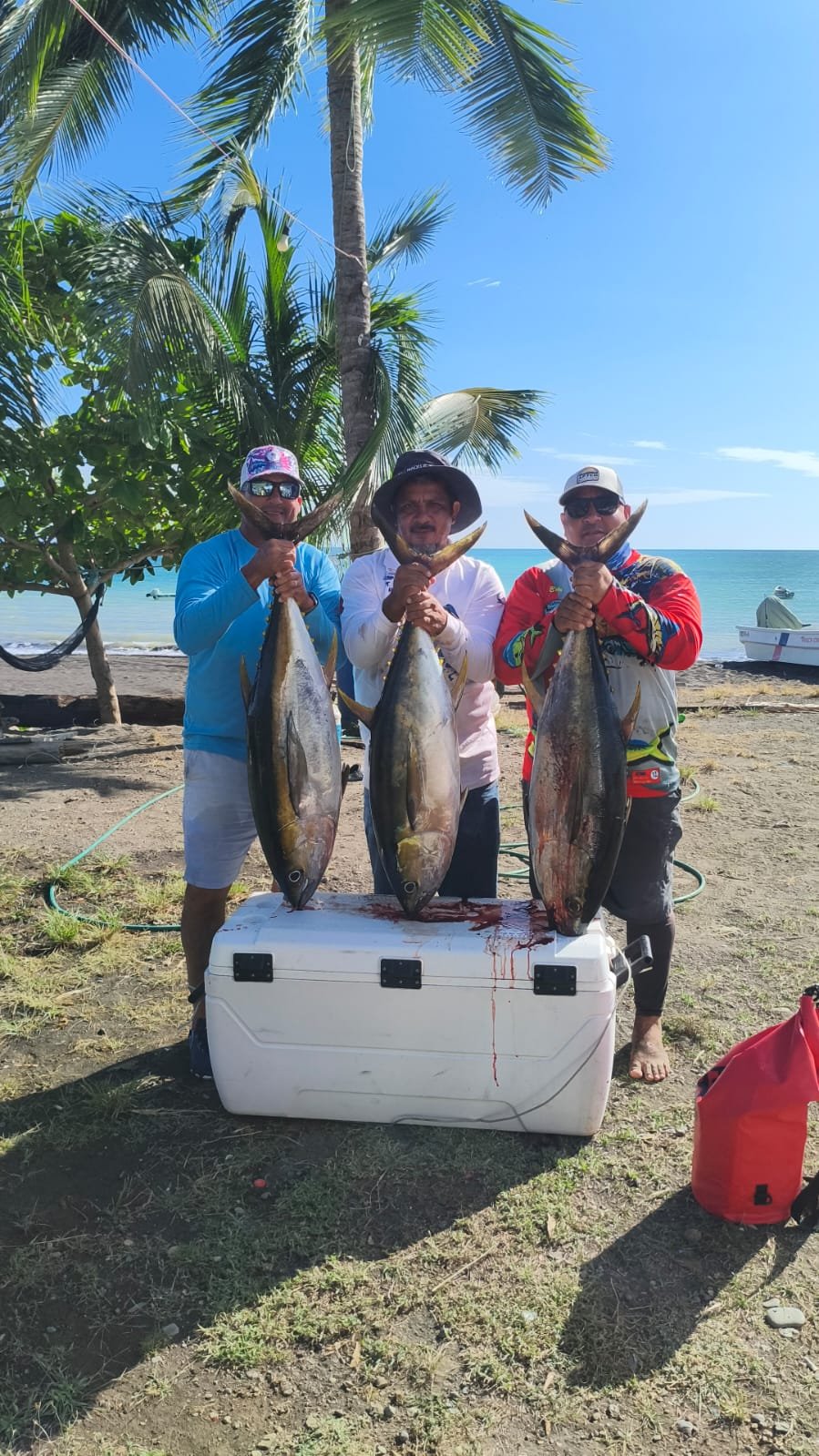 Especies de pesca en Cambutal
