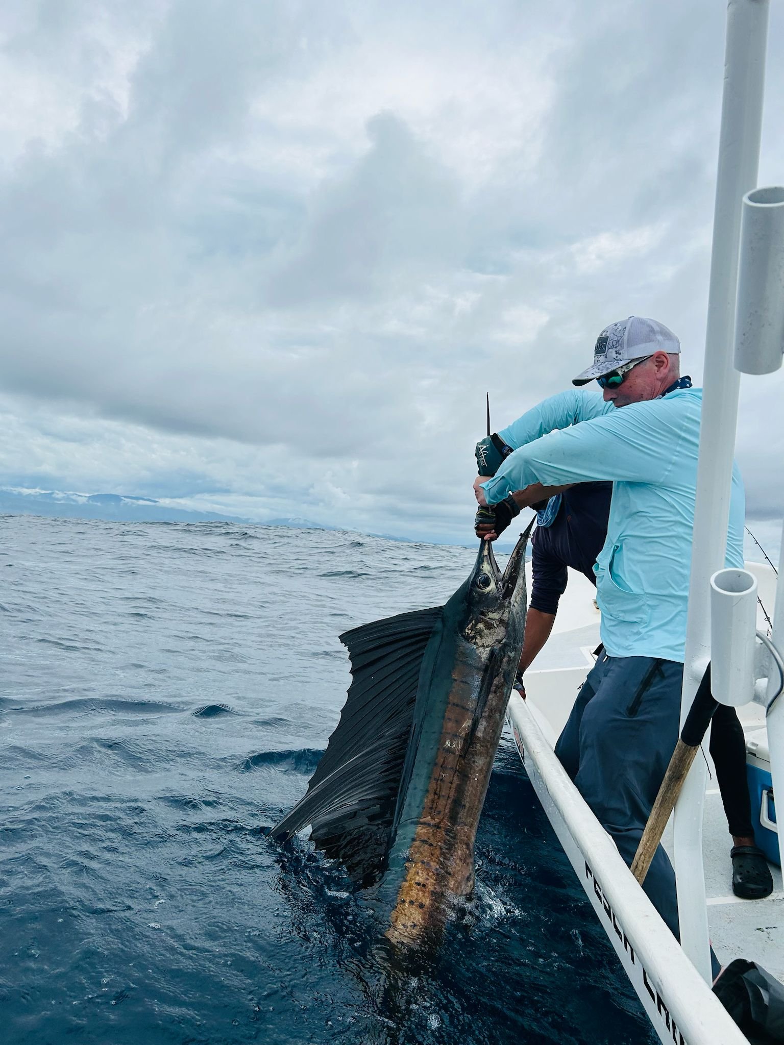 Pez vela en pesca de altura desde Cambutal, Panamá