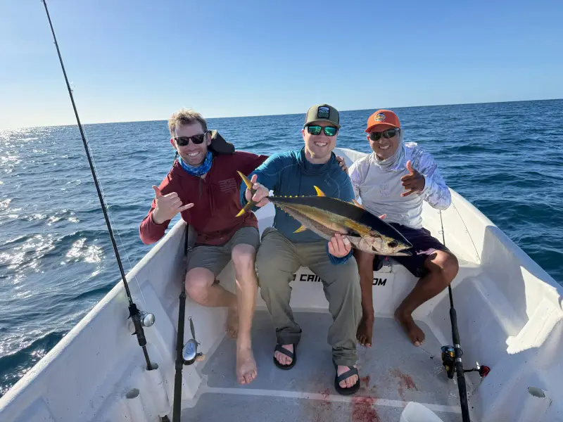 Atún aleta amarilla en Pesca Cambutal, Los Santos, Panamá